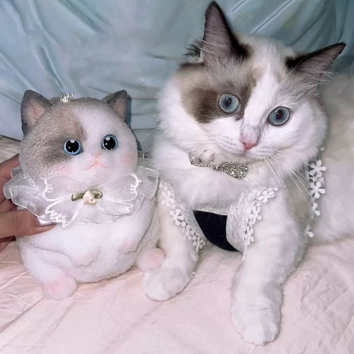 🎁Last Day Sale 49% OFF😻🐱My Realistic Little Soft Kitten